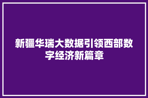 新疆华瑞大数据引领西部数字经济新篇章