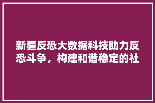 新疆反恐大数据科技助力反恐斗争，构建和谐稳定的社会环境
