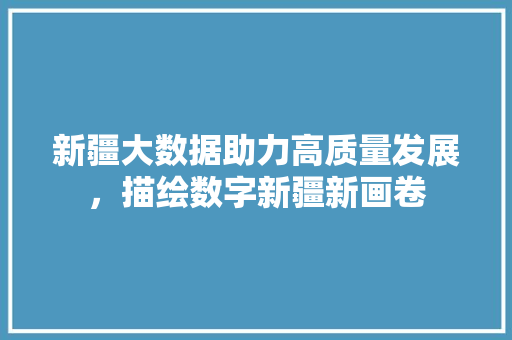 新疆大数据助力高质量发展，描绘数字新疆新画卷  第1张