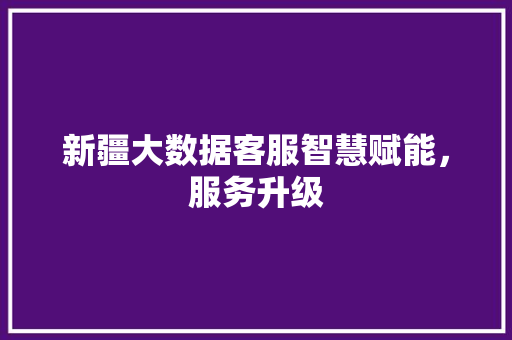 新疆大数据客服智慧赋能，服务升级  第1张