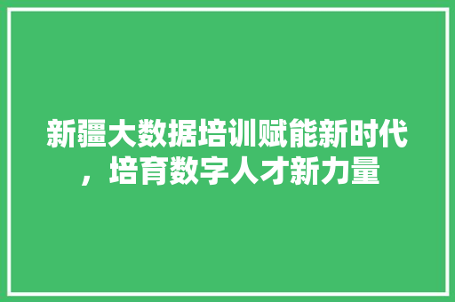 新疆大数据培训赋能新时代，培育数字人才新力量  第1张