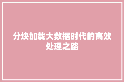 分块加载大数据时代的高效处理之路  第1张