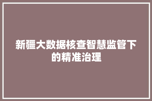 新疆大数据核查智慧监管下的精准治理