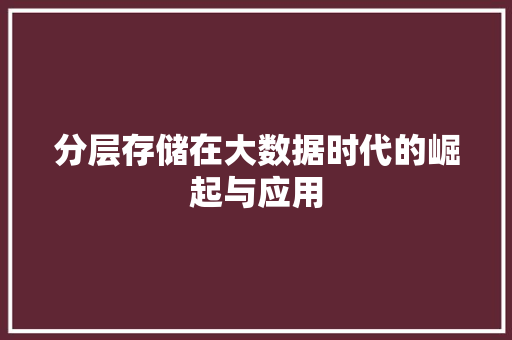 分层存储在大数据时代的崛起与应用  第1张