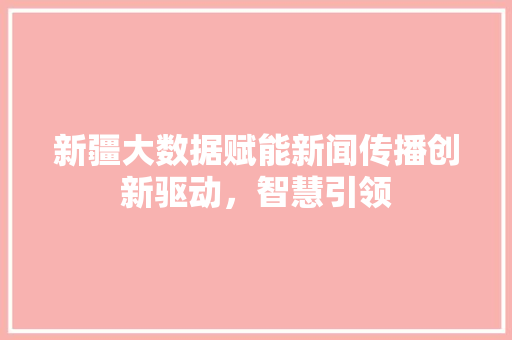 新疆大数据赋能新闻传播创新驱动，智慧引领  第1张