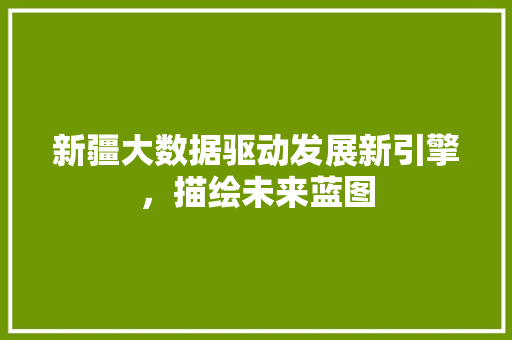 新疆大数据驱动发展新引擎，描绘未来蓝图  第1张