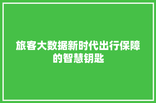 旅客大数据新时代出行保障的智慧钥匙  第1张