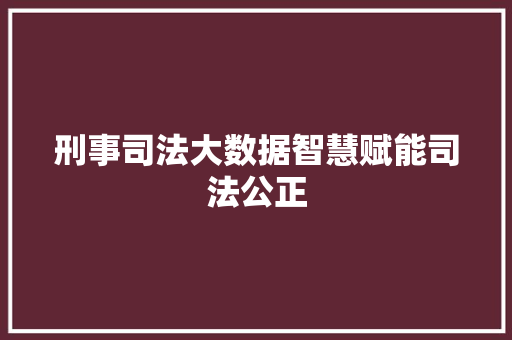 刑事司法大数据智慧赋能司法公正