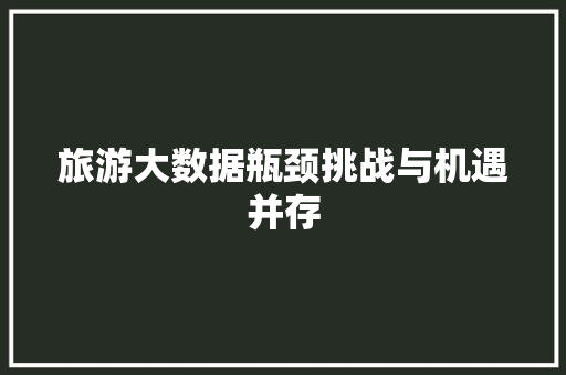 旅游大数据瓶颈挑战与机遇并存