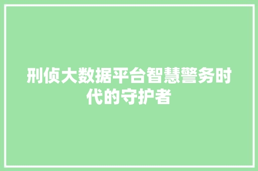 刑侦大数据平台智慧警务时代的守护者