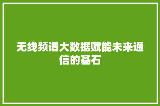 无线频谱大数据赋能未来通信的基石  第1张