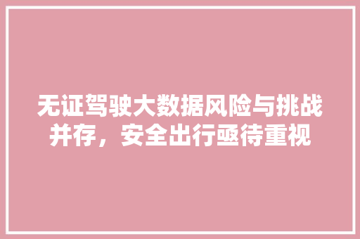 无证驾驶大数据风险与挑战并存，安全出行亟待重视