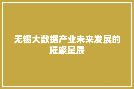 无锡大数据产业未来发展的璀璨星辰  第1张