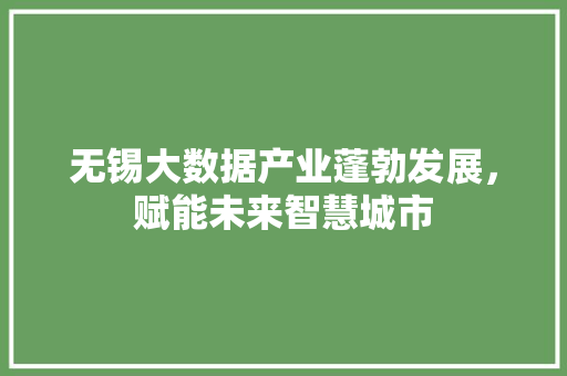 无锡大数据产业蓬勃发展，赋能未来智慧城市  第1张