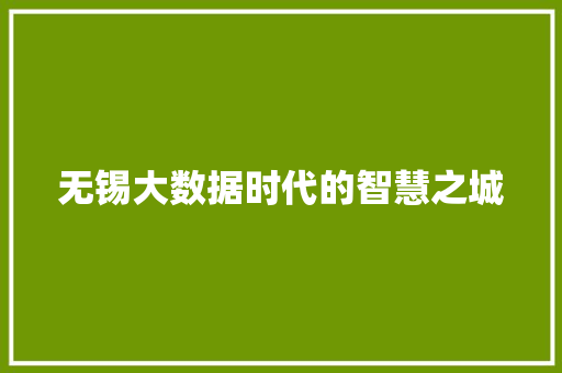 无锡大数据时代的智慧之城  第1张