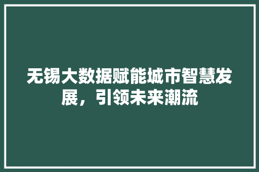 无锡大数据赋能城市智慧发展，引领未来潮流  第1张