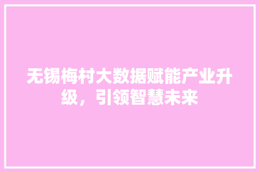 无锡梅村大数据赋能产业升级，引领智慧未来