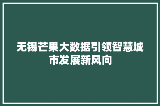 无锡芒果大数据引领智慧城市发展新风向