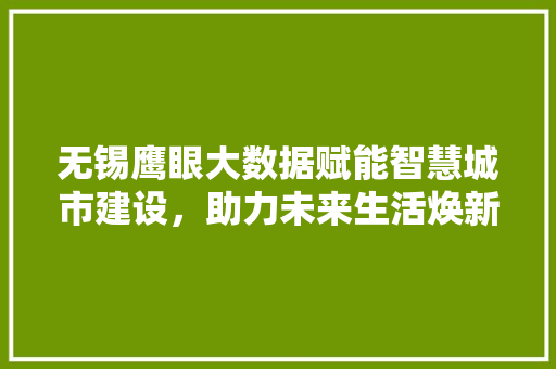 无锡鹰眼大数据赋能智慧城市建设，助力未来生活焕新