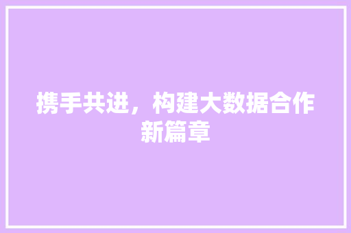 携手共进，构建大数据合作新篇章