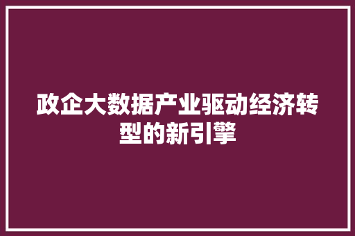 政企大数据产业驱动经济转型的新引擎  第1张