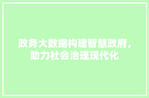 政务大数据构建智慧政府，助力社会治理现代化  第1张