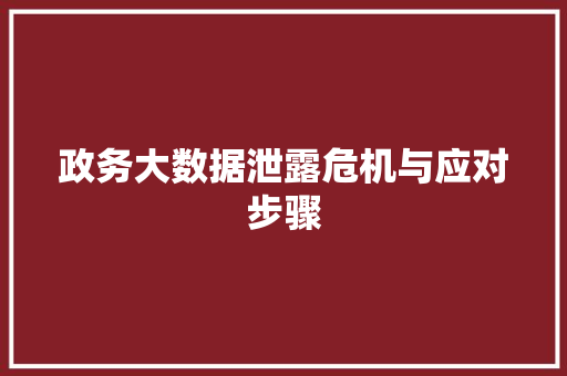政务大数据泄露危机与应对步骤  第1张