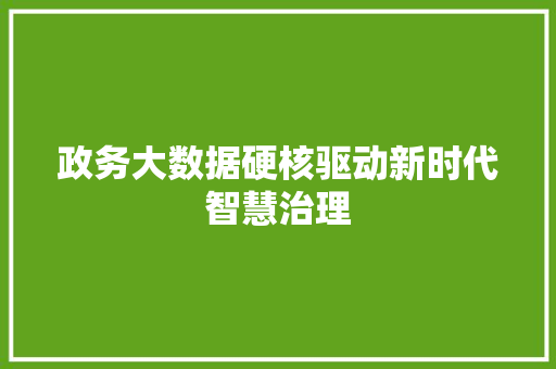 政务大数据硬核驱动新时代智慧治理  第1张