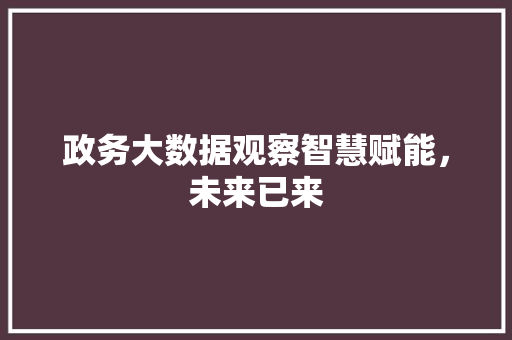 政务大数据观察智慧赋能，未来已来  第1张