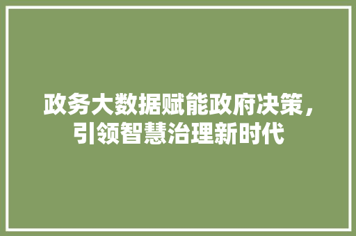 政务大数据赋能政府决策，引领智慧治理新时代  第1张