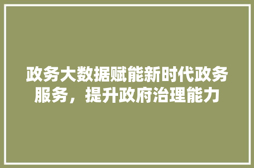 政务大数据赋能新时代政务服务，提升政府治理能力  第1张