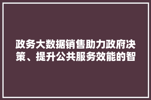 政务大数据销售助力政府决策、提升公共服务效能的智慧之路  第1张