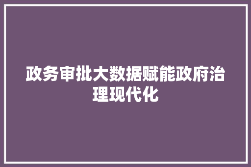 政务审批大数据赋能政府治理现代化