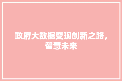 政府大数据变现创新之路，智慧未来