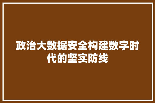 政治大数据安全构建数字时代的坚实防线
