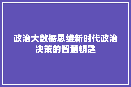 政治大数据思维新时代政治决策的智慧钥匙