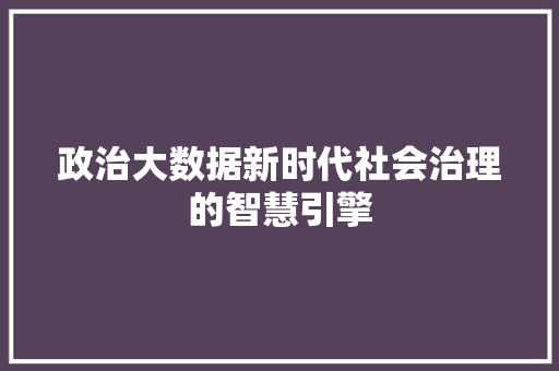 政治大数据新时代社会治理的智慧引擎