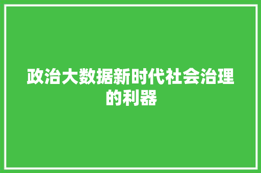 政治大数据新时代社会治理的利器