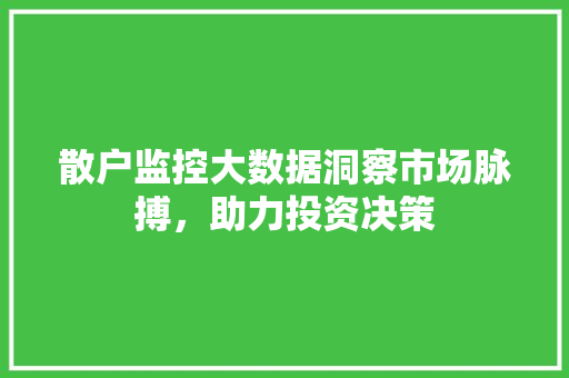 散户监控大数据洞察市场脉搏，助力投资决策