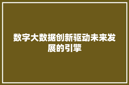 数字大数据创新驱动未来发展的引擎
