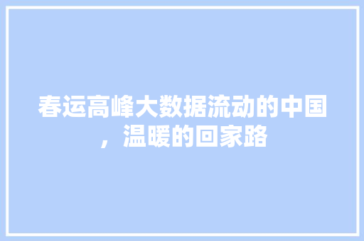 春运高峰大数据流动的中国，温暖的回家路