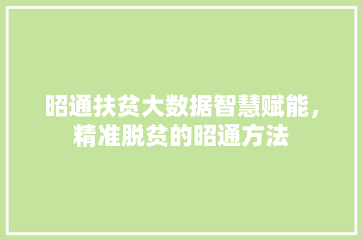 昭通扶贫大数据智慧赋能，精准脱贫的昭通方法  第1张