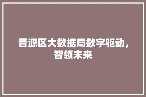 晋源区大数据局数字驱动，智领未来