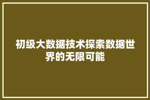 初级大数据技术探索数据世界的无限可能