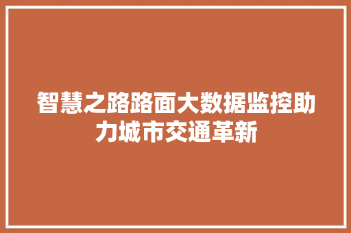 智慧之路路面大数据监控助力城市交通革新  第1张
