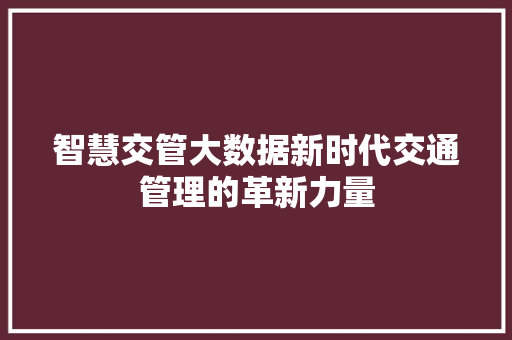 智慧交管大数据新时代交通管理的革新力量