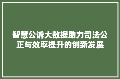 智慧公诉大数据助力司法公正与效率提升的创新发展