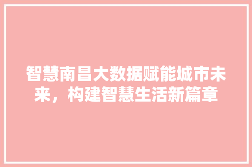 智慧南昌大数据赋能城市未来，构建智慧生活新篇章
