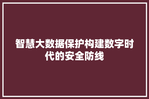 智慧大数据保护构建数字时代的安全防线  第1张