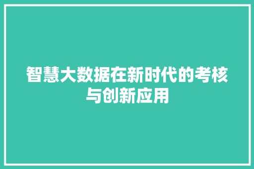 智慧大数据在新时代的考核与创新应用